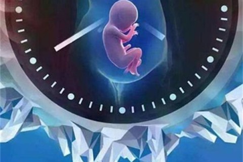 http://jiaxing.papirsys.com/post/201.html|嘉兴捐卵案例